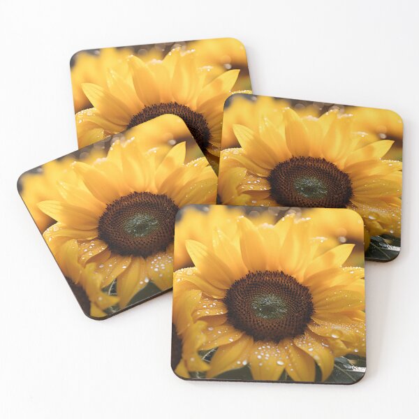 Aperçu de l'œuvre Microphotographie - Tournesol créée et vendue par KootenayDesigns.