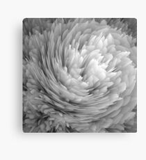Under the Microscope VIII Canvas Print