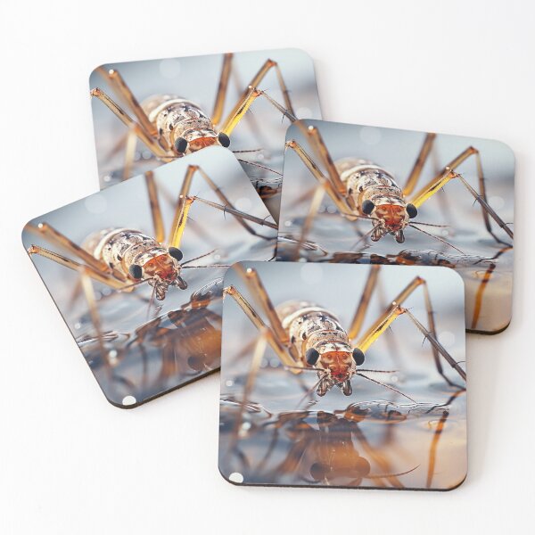 Item preview, Micro Photography - Water Strider designed and sold by KootenayDesigns.