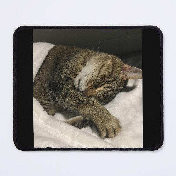 Item preview, Sleepy Cat designed and sold by Topmel.