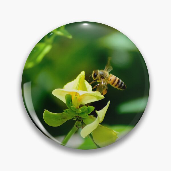 Item preview, Lathyrus pratensis and Honey Bee designed and sold by MercerImages.