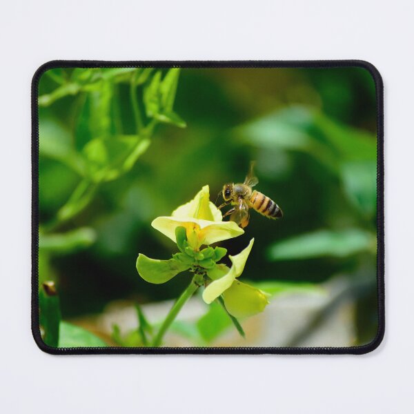 Item preview, Lathyrus pratensis and Honey Bee designed and sold by MercerImages.