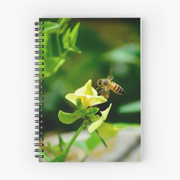 Item preview, Lathyrus pratensis and Honey Bee designed and sold by MercerImages.
