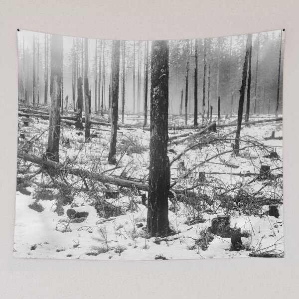 Item preview, Deliberate burning. Seitseminen 2024 4 bw designed and sold by Jouko Lehto Photography.