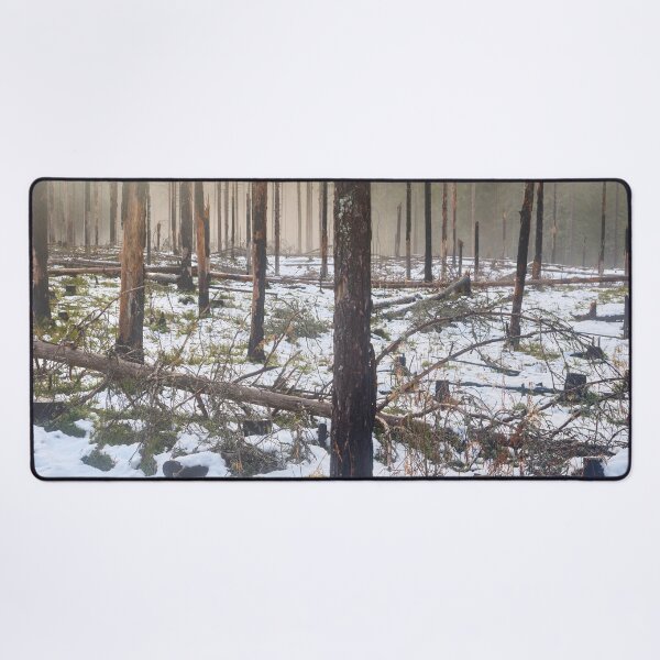 Item preview, Deliberate burning. Seitseminen 2024 4 designed and sold by Jouko Lehto Photography.