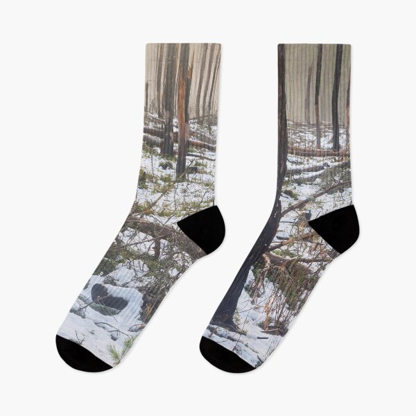 Item preview, Deliberate burning. Seitseminen 2024 4 designed and sold by Jouko Lehto Photography.