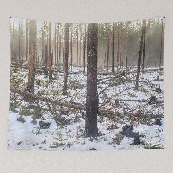 Item preview, Deliberate burning. Seitseminen 2024 4 designed and sold by Jouko Lehto Photography.