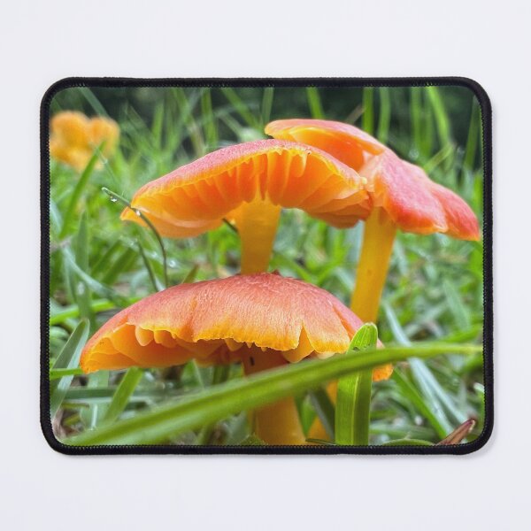 Artikelvorschau, Orangefarbene Pilze 1 entworfen und verkauft von MyPerkyPrints.