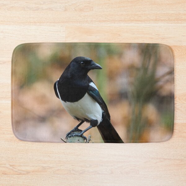 Item preview, The Beautiful One. Eurasian magpie designed and sold by Jouko Lehto Photography.