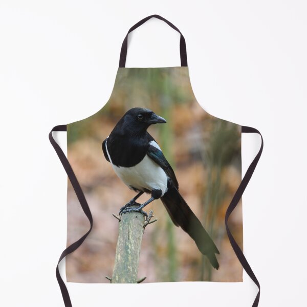 Item preview, The Beautiful One. Eurasian magpie designed and sold by Jouko Lehto Photography.