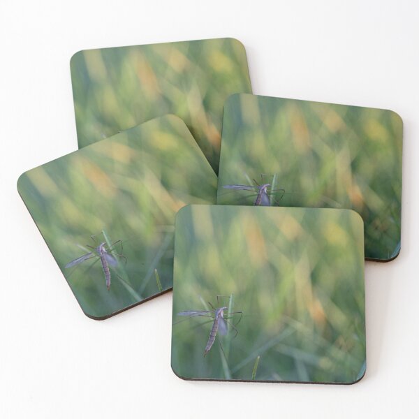 Item preview, Marsh crane fly designed and sold by Calidris Fotografie Steffi & Ben Köppler.