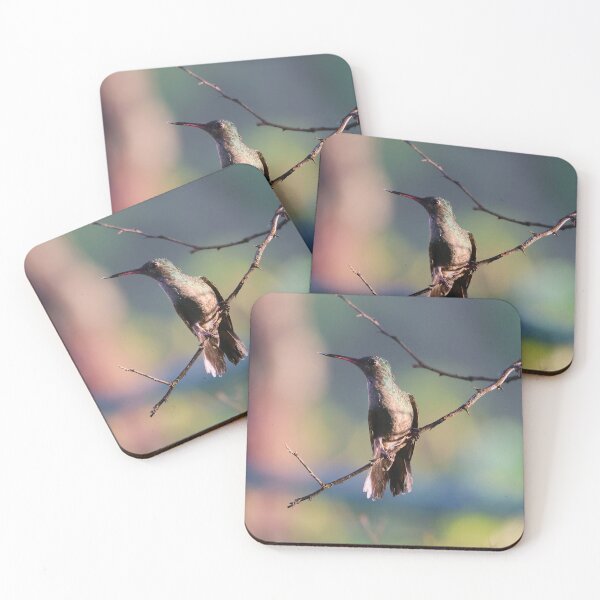 Item preview, Rufous Tailed Hummingbird Panama Birding  designed and sold by Alvaro-Miranda.