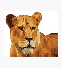 LIONESS Pop Art Photographic Print