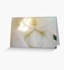 Attentive Greeting Card