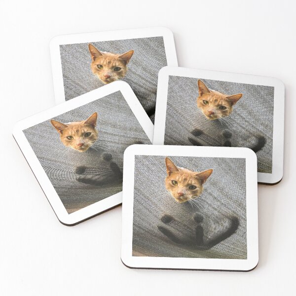 Item preview, Crazy curious cat designed and sold by Martin Fenton.