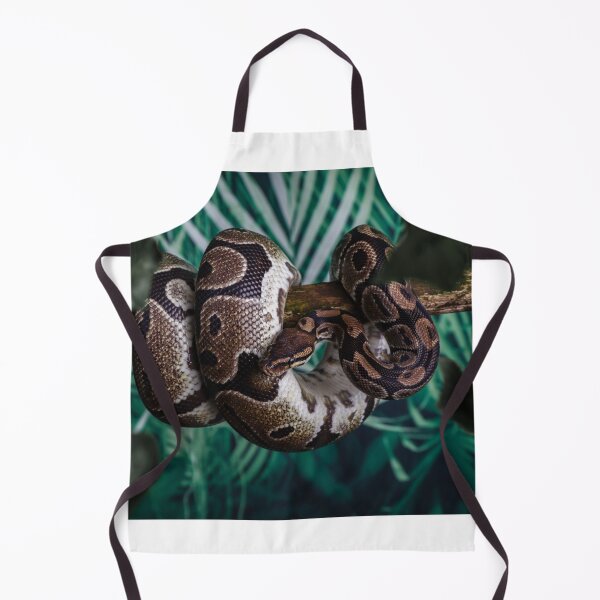 Item preview, Coiled Royal Python designed and sold by Martin Fenton.