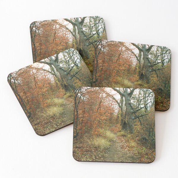 Item preview, Fall Trails designed and sold by filmphotog.