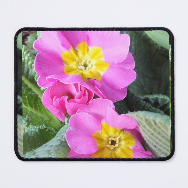 Item preview, Primula Vulgaris Sibthorpii designed and sold by pinkal.