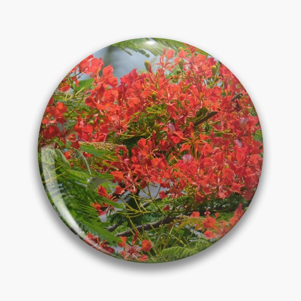 Aperçu de l'œuvre Rêve royal de Poinciana créée et vendue par HeadBlaze.