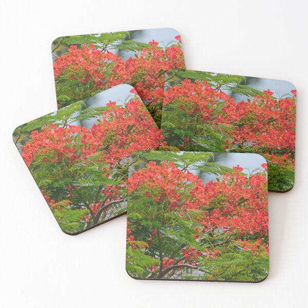 Item preview, Royal Poinciana Dream designed and sold by HeadBlaze.