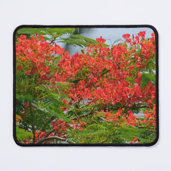 Aperçu de l'œuvre Rêve royal de Poinciana créée et vendue par HeadBlaze.
