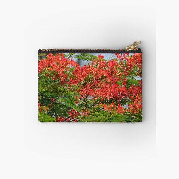 Artikelvorschau, Königlicher Poinciana-Traum entworfen und verkauft von HeadBlaze.