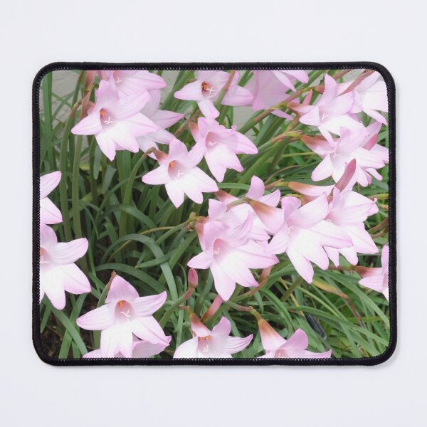 Item preview, Daylilies Dream designed and sold by HeadBlaze.