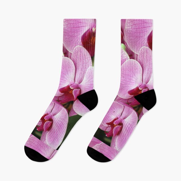 Item preview, Pink Orchid designed and sold by pinkal.