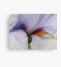 Iris Abstract Canvas Print