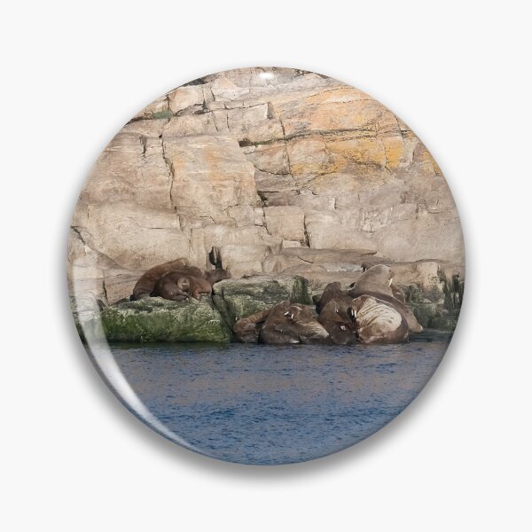 Item preview, Walrus Huddle on Devon Island, Nunavut designed and sold by Lauren Clewes Photography.