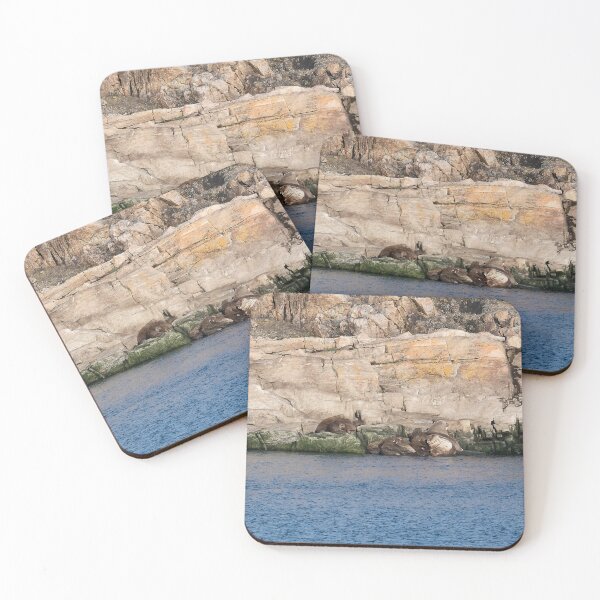 Item preview, Walrus Huddle on Devon Island, Nunavut designed and sold by Lauren Clewes Photography.