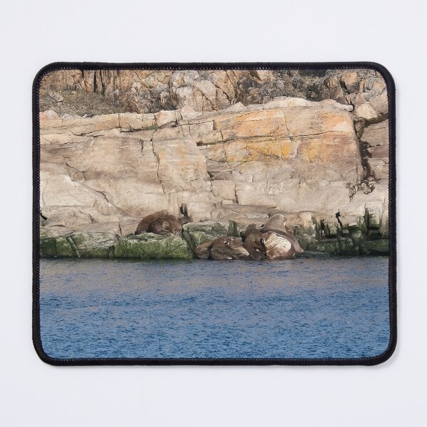 Item preview, Walrus Huddle on Devon Island, Nunavut designed and sold by Lauren Clewes Photography.