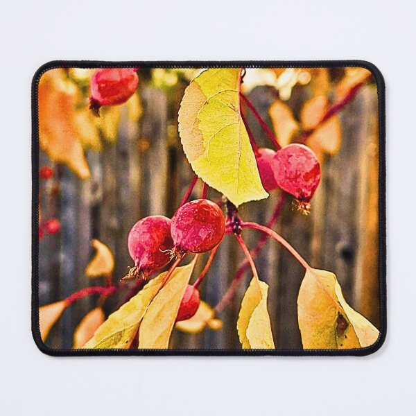 Item preview, Siberian Crab Apple Photo designed and sold by FloresInColor1.
