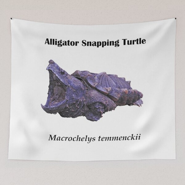 Item preview, Alligator Snapping Turtle - Black lettering designed and sold by FroghavenFarm.