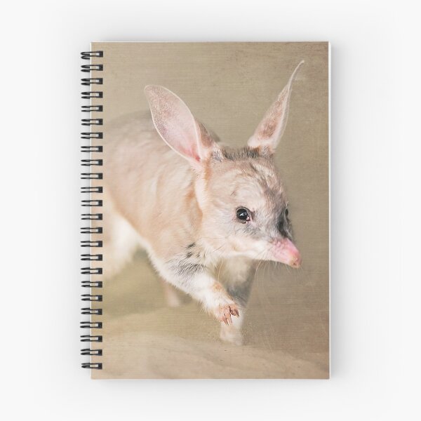 Item preview, Bilby designed and sold by Her WildLife.