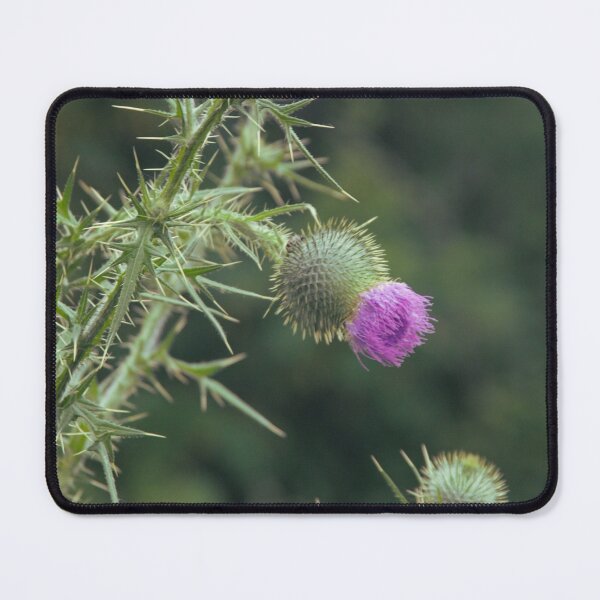 Item preview, Green Thistle with Purple Flower designed and sold by CountyKent.