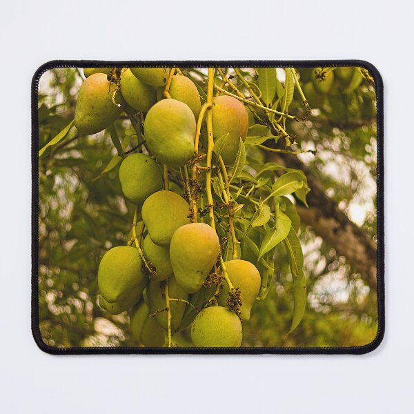 Item preview, Dls Mango designed and sold by pcfyi.