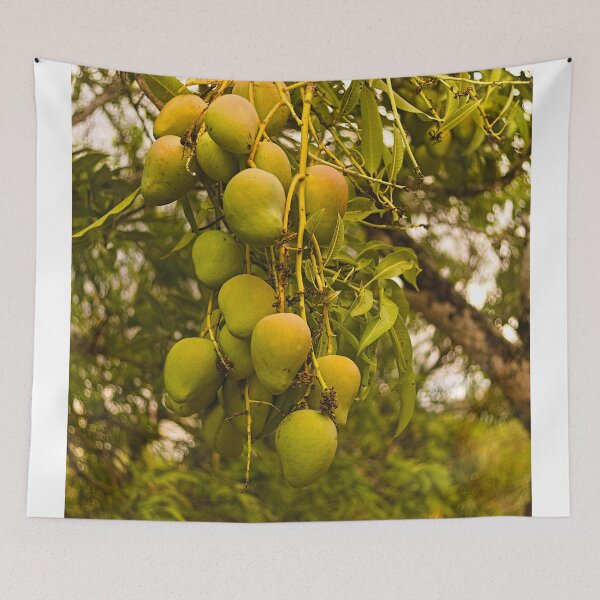 Item preview, Dls Mango designed and sold by pcfyi.