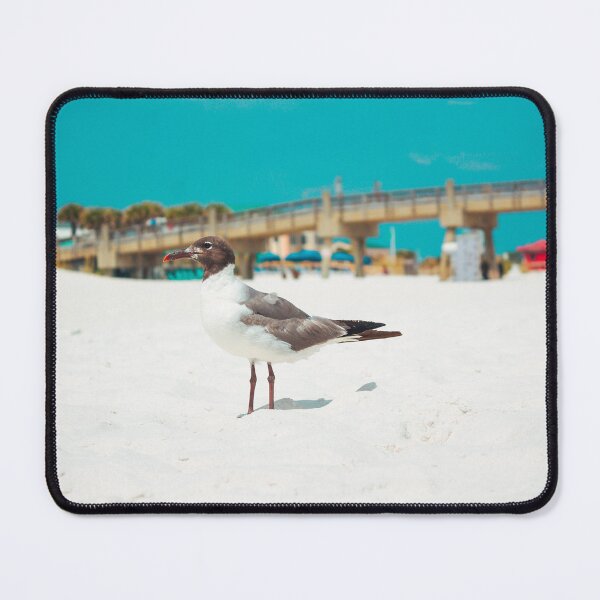 Item preview, Seagull on the Beach designed and sold by TheVelvetLenss.