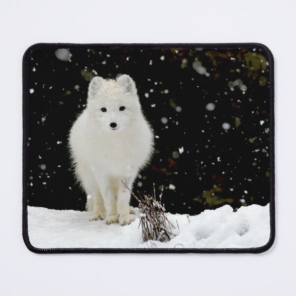Item preview, Arctic Fox designed and sold by PtDefianceAAZK.