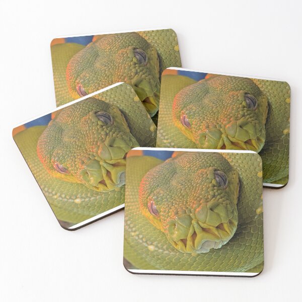 Item preview, snakes head designed and sold by Doug Cliff.