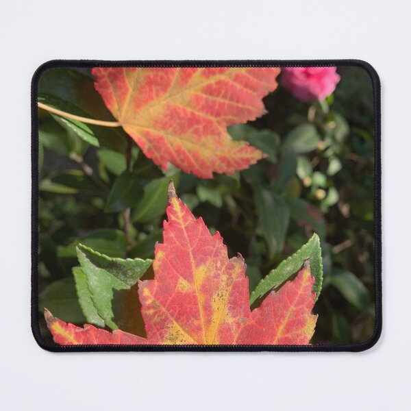 Item preview, Fall sign designed and sold by agnessa38.