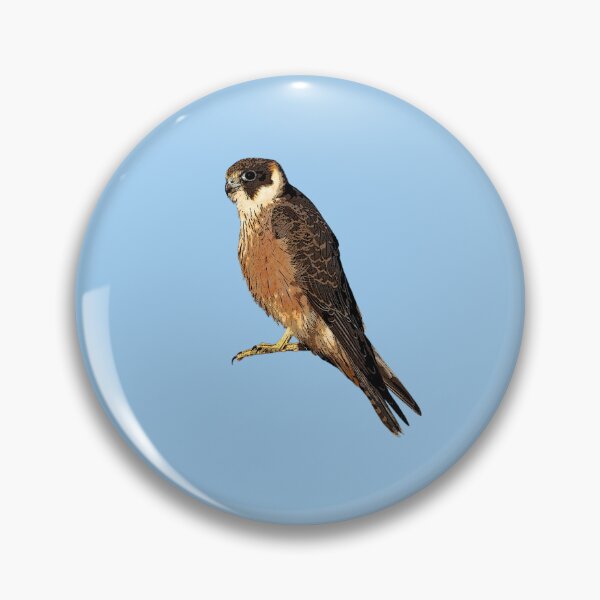 Item preview, Australian Hobby Color Design  designed and sold by designsasstultd.