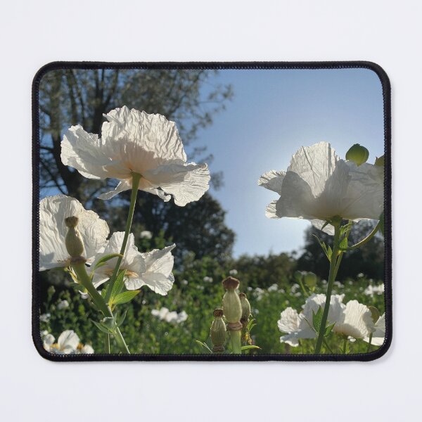 Item preview, Sunny Whites designed and sold by agnessa38.
