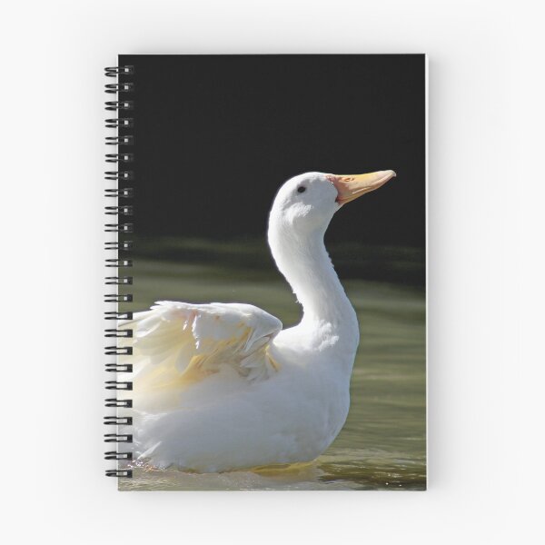 Item preview, © Pekin duck designed and sold by GeoPipics.
