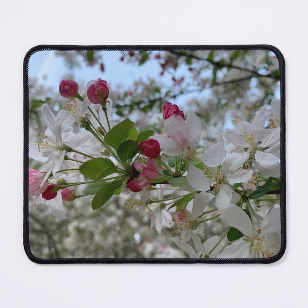 Item preview, Apple tree designed and sold by agnessa38.