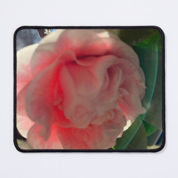 Item preview, Camellia on the sun designed and sold by agnessa38.