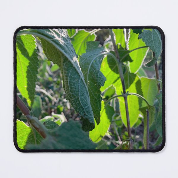 Item preview, Sunny leaves designed and sold by agnessa38.