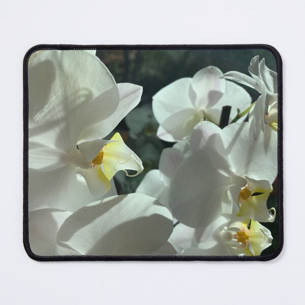 Item preview, White Orchid designed and sold by agnessa38.