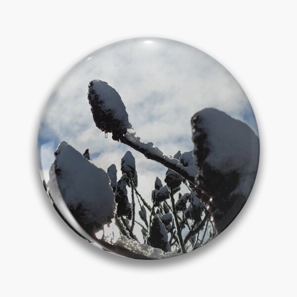 Item preview, Staghorn Sumac in Winter, Part 1 designed and sold by TheNatureNerd.
